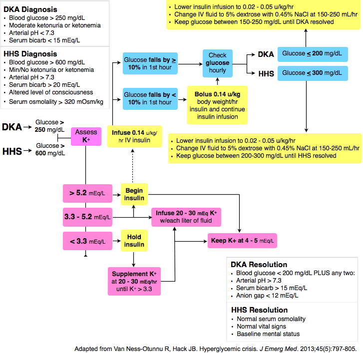 DKA and HHS treatment algorithm