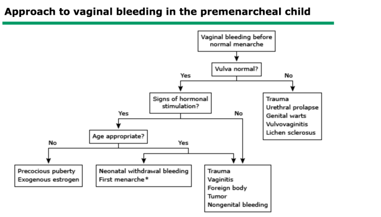Pediatric vaginal bleeding differential by age