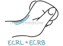 ECRL_ECRB.jpg