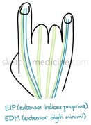 EIP_EDM.jpg