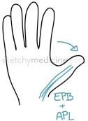 EPB_APL.jpg