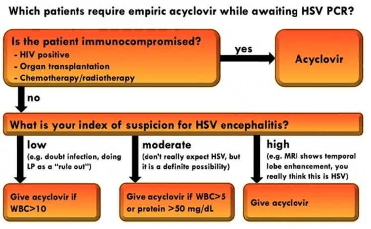 HSV encephalitis coverage algorithm