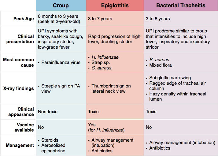 Croup vs epiglottitis vs tracheitis comparison