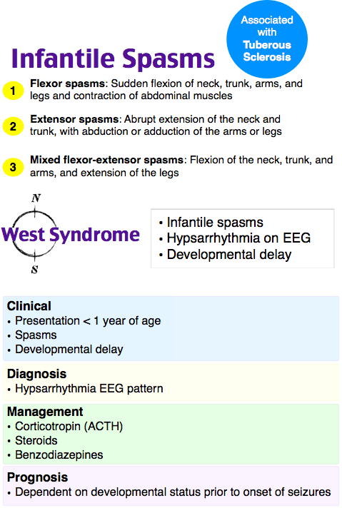 Infantile spasms (West syndrome)