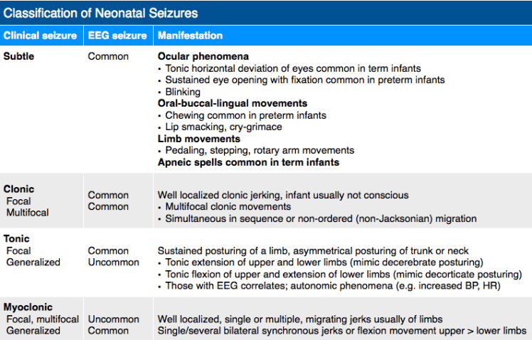 Classification of neonatal seizures