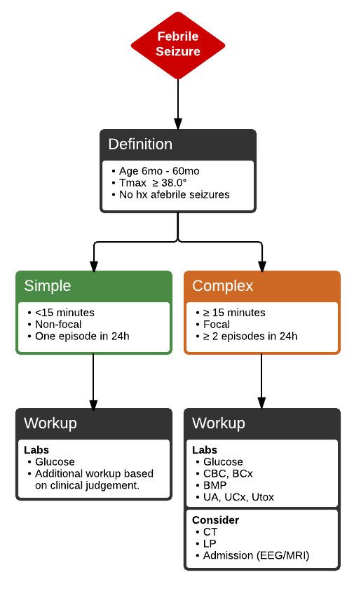 Febrile seizure evaluation algorithm