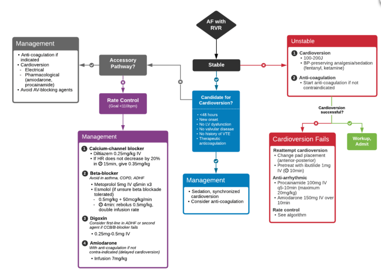 AFib management algorithm