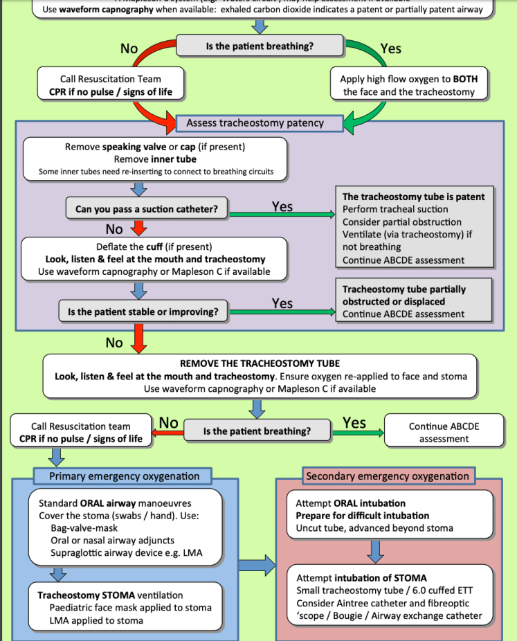 National Tracheostomy Safety Project Algorithm