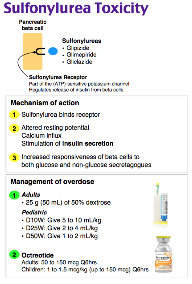 Hypoglycemia differential diagnosis and workup approach