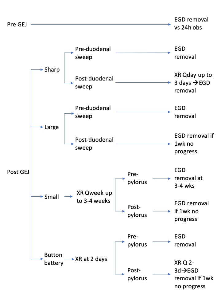 Ingested foreign body management pathway